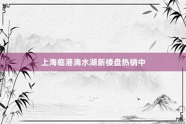 上海临港滴水湖新楼盘热销中